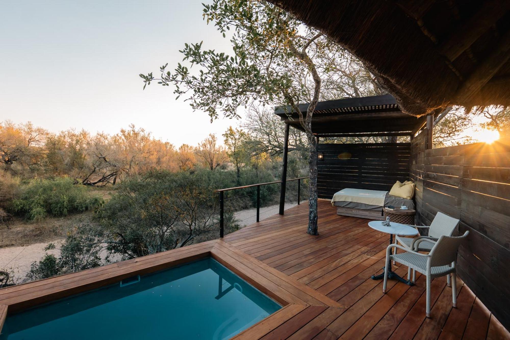 Thornybush Simbambili Lodge Sabi Sand Game Reserve Luaran gambar