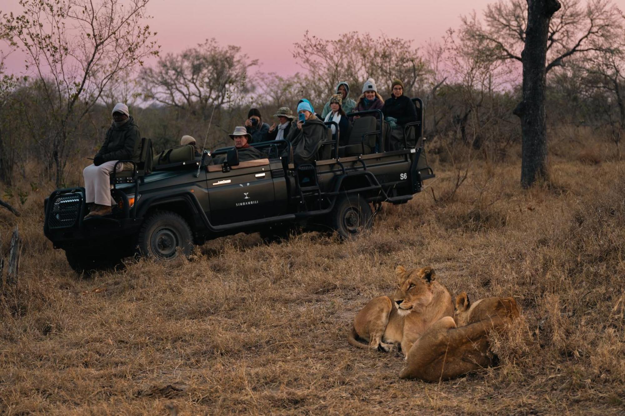 Thornybush Simbambili Lodge Sabi Sand Game Reserve Luaran gambar