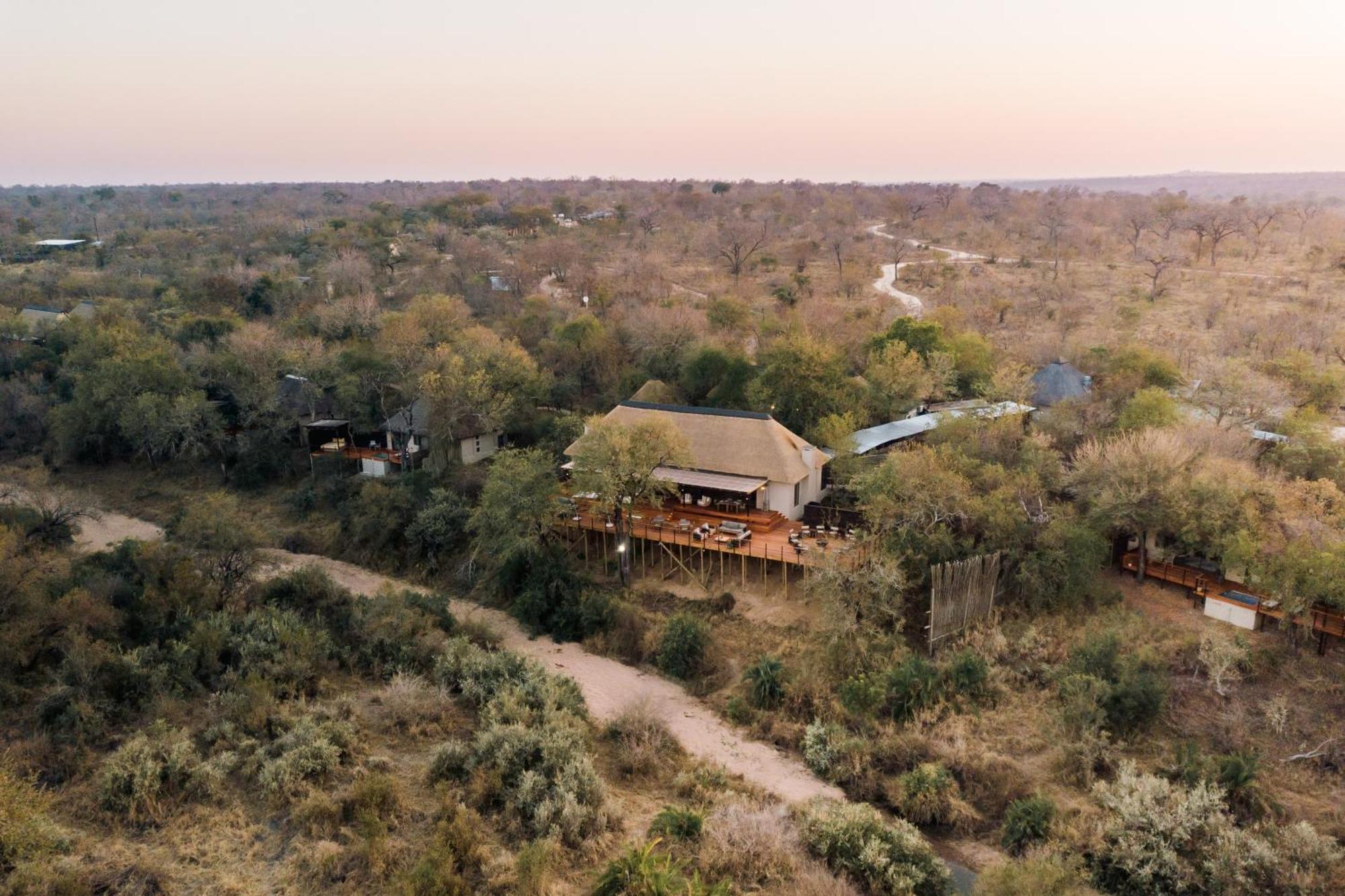 Thornybush Simbambili Lodge Sabi Sand Game Reserve Luaran gambar