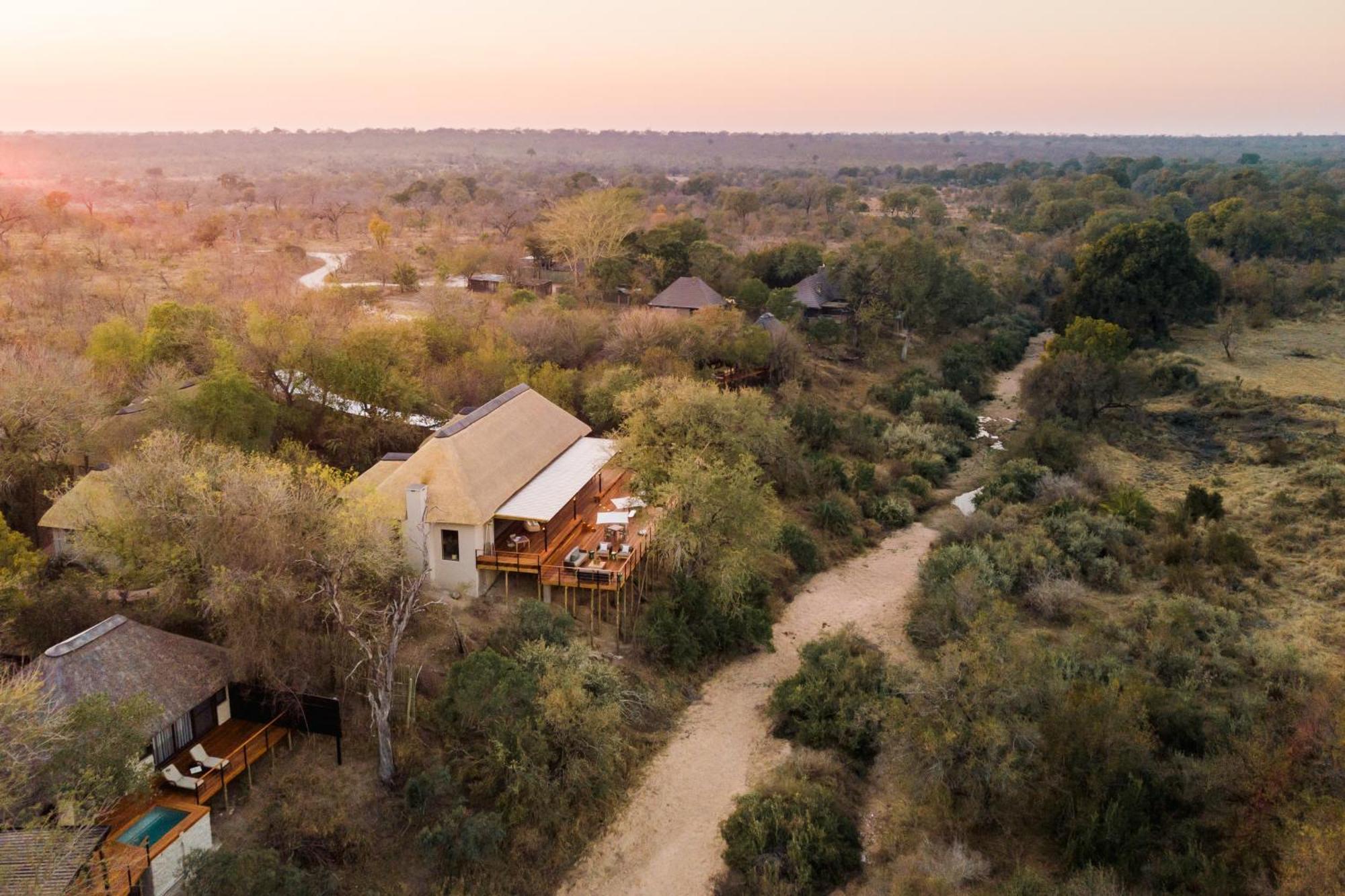 Thornybush Simbambili Lodge Sabi Sand Game Reserve Luaran gambar