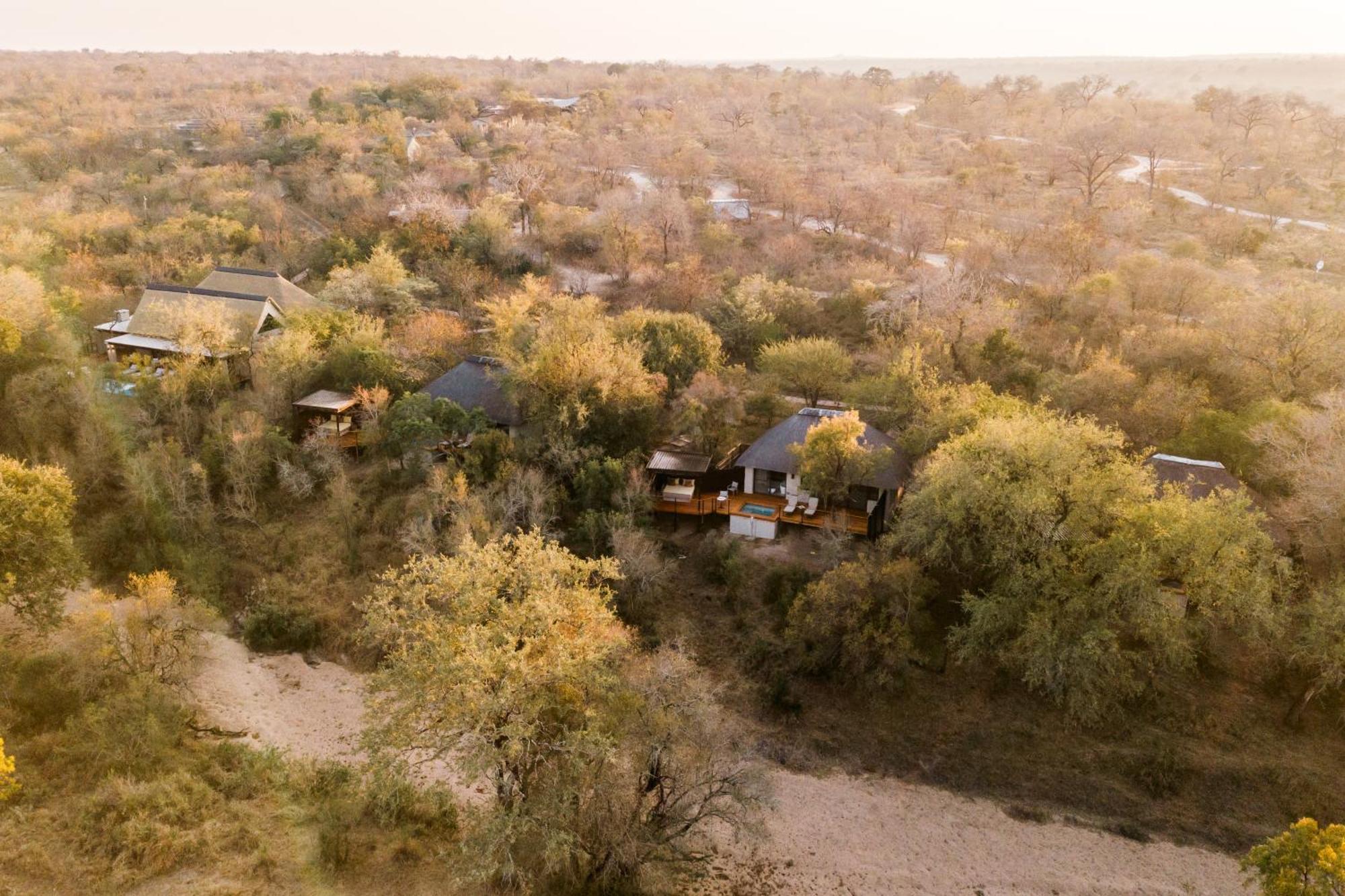 Thornybush Simbambili Lodge Sabi Sand Game Reserve Luaran gambar