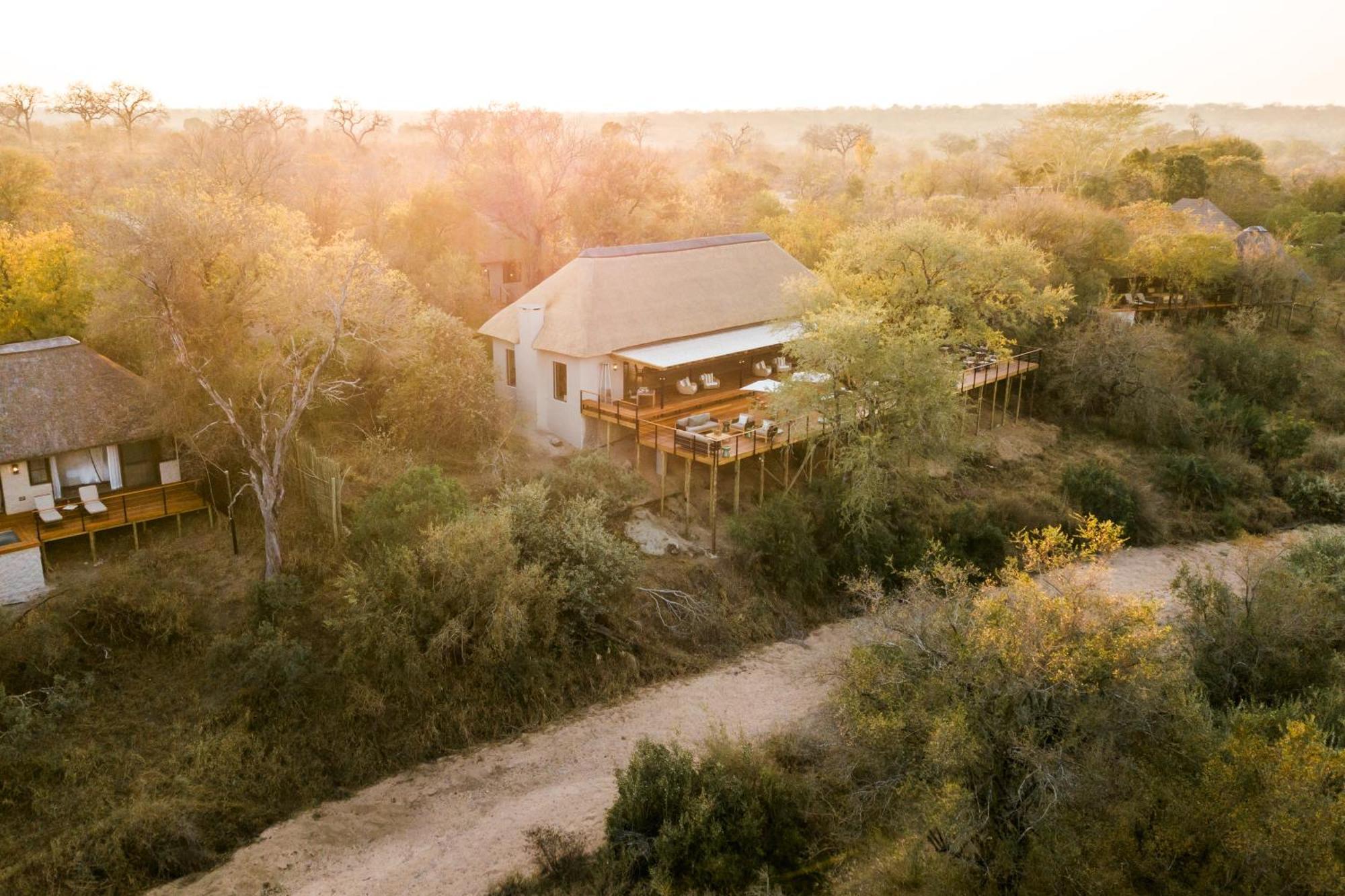 Thornybush Simbambili Lodge Sabi Sand Game Reserve Luaran gambar